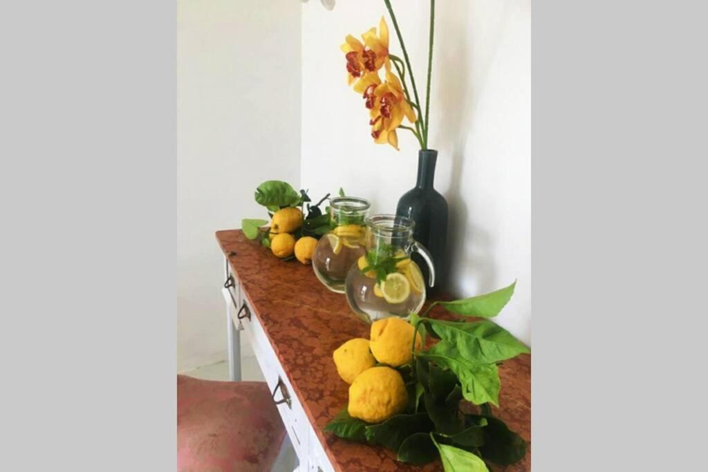 Apartmán Terrazzo Esclusivo Con Zona Solarium Da 200 Mq Valderice Exteriér fotografie